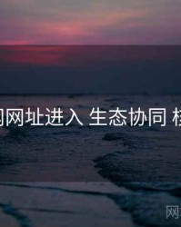 p站官网网址进入 生态协同 核心要点