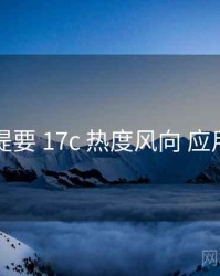 重点提要 17c 热度风向 应用案例