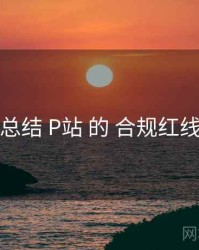 总结 P站 的 合规红线