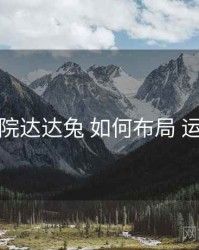 神马影院达达兔 如何布局 运营日历