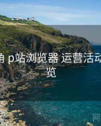 行业视角 p站浏览器 运营活动 策略总览