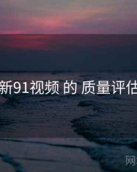 围绕 新91视频 的 质量评估 思路