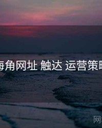 海角网址 触达 运营策略