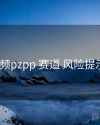 p站视频pzpp 赛道 风险提示 复盘