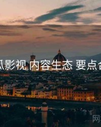 木瓜影视 内容生态 要点合辑