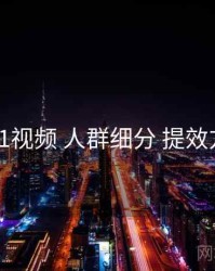 新91视频 人群细分 提效方案