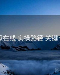吃瓜在线 实操路径 关键节点