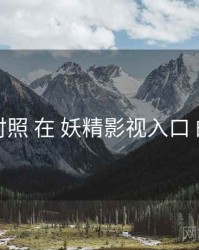 体验对照 在 妖精影视入口 的应用