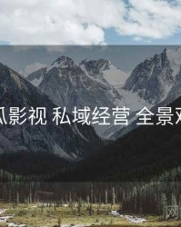 木瓜影视 私域经营 全景观察