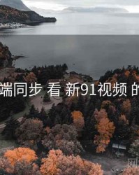 从 跨端同步 看 新91视频 的机会