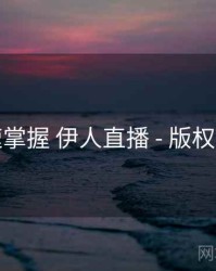 快速掌握 伊人直播 - 版权要点