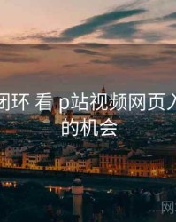 从 转化闭环 看 p站视频网页入口导航 的机会