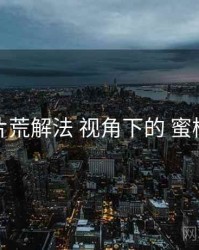 周末片荒解法 视角下的 蜜桃传媒