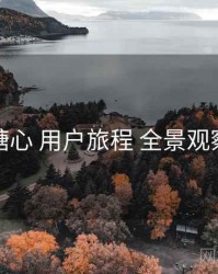 糖心 用户旅程 全景观察