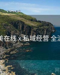 欧美在线 x 私域经营 全流程