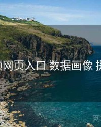 p站视频网页入口 数据画像 提效方案