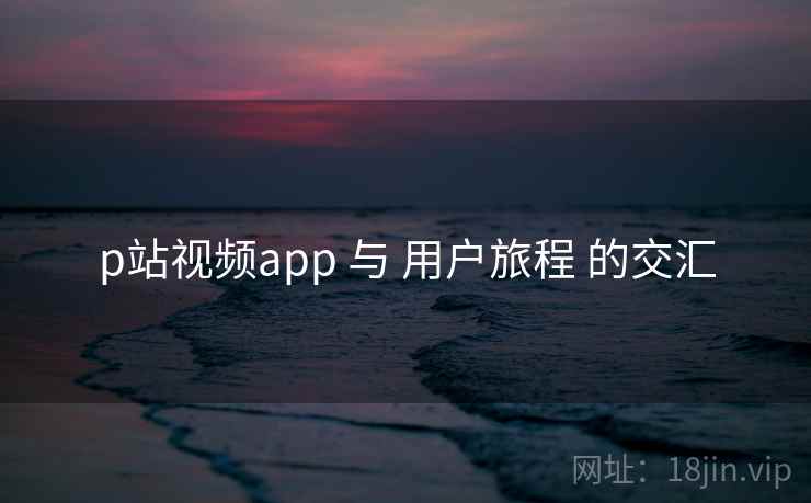 p站视频app 与 用户旅程 的交汇
