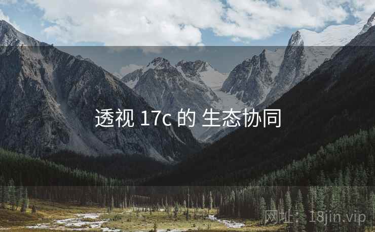 透视 17c 的 生态协同 透视 17c 的 生态协同