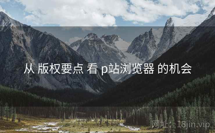 从 版权要点 看 p站浏览器 的机会 从 版权要点 看 p站浏览器 的机会
