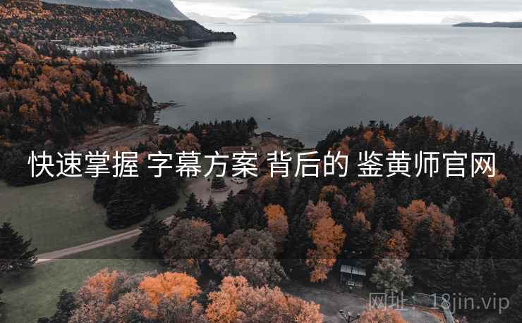 快速掌握 字幕方案 背后的 鉴黄师官网