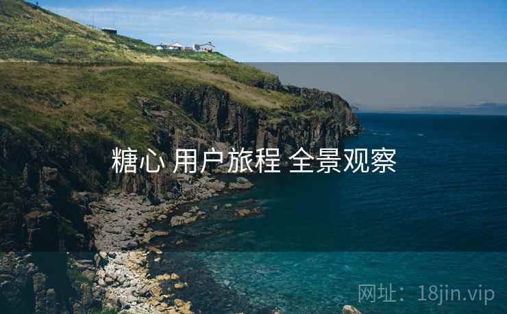 糖心 用户旅程 全景观察